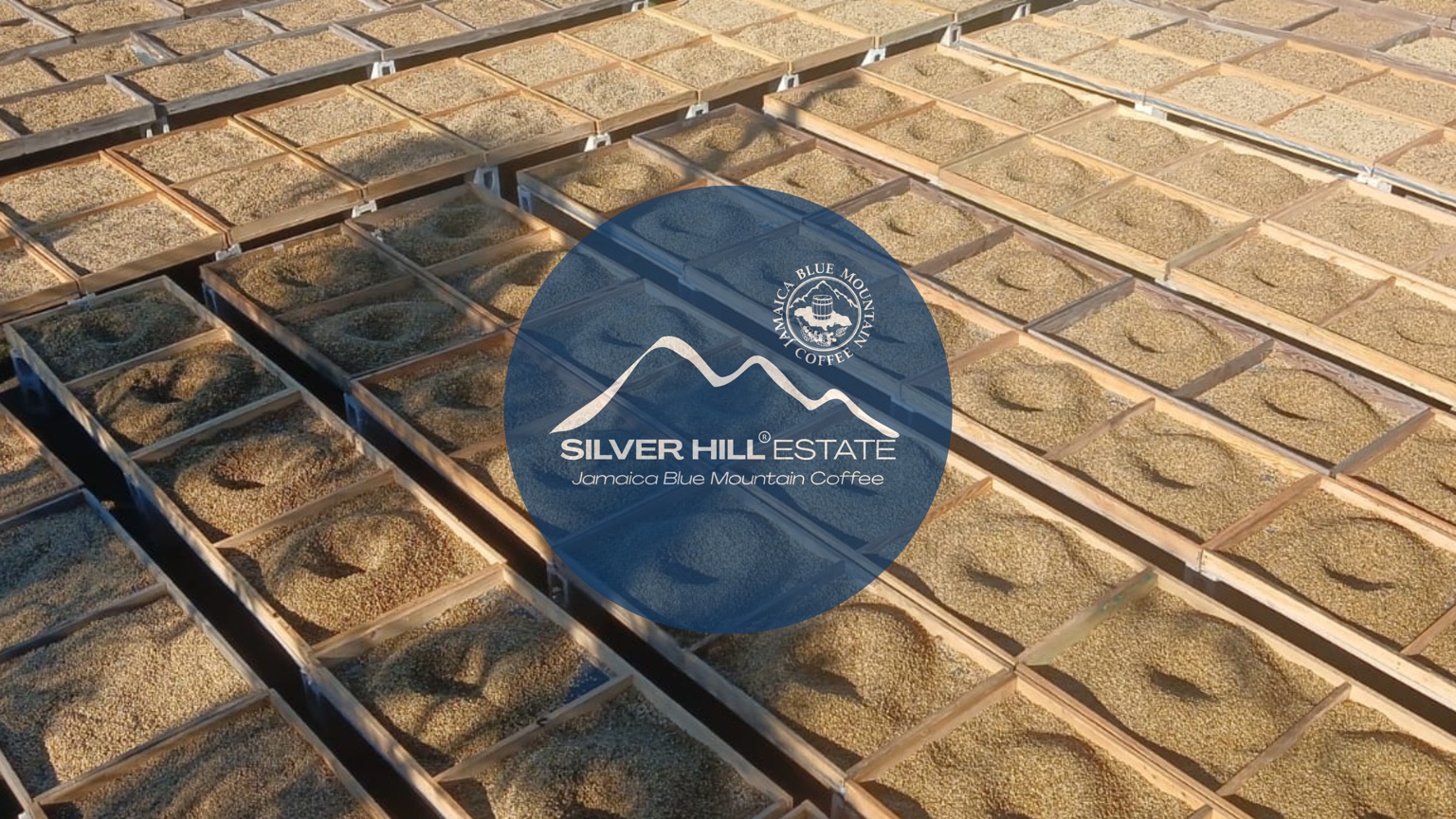 Coffee drying trays at Silver Hill Estate with the Jamaica Blue Mountain Coffee estate logo